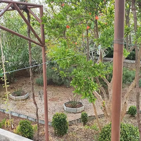 Apartment Appartment Punat *